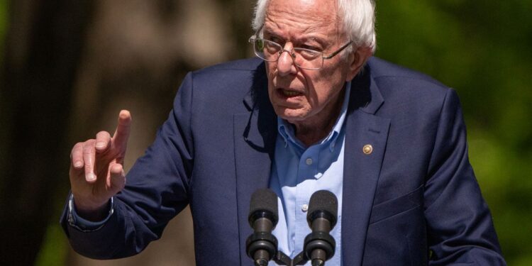 Bernie Sanders lends his support to demonstrations in favor of Palestine