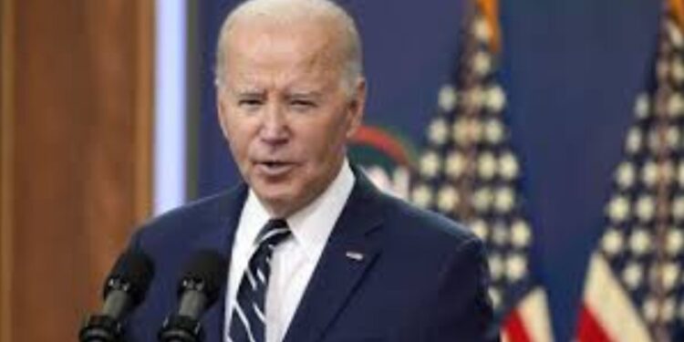 Niece of Israeli hostage praises Biden administration’s unwavering commitment to her family