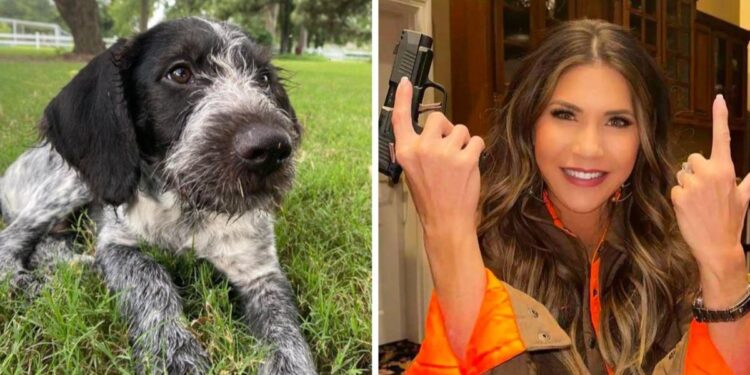 South Dakota Governor Noem Defends Herself Against Backlash For Killing Dog