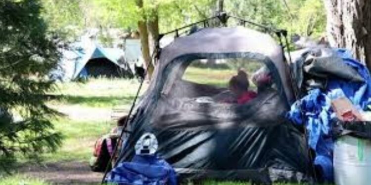 Supreme Court’s Intervention Needed to Address the Devastating Impact of Homelessness on US Cities