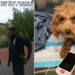 A puppy thrown down a ledge in Manhattan is saved by NYPD, and its owner is arrested, according to bodycam video