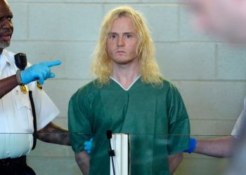 Court appearance of mass stabbing suspect reveals privileged background and ties to murder case