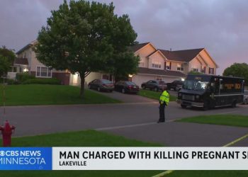 Minnesota Man Allegedly Killed And Dismembered His Pregnant Sister, Charges Allege