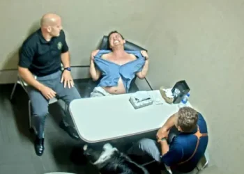 Psychologically Tortured: California Settles for Nearly $1 Million After Man Endures 17-Hour Police Interrogation