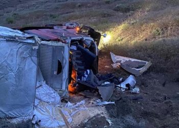 “Sludge” from the Mormon cricket invasion caused many crashes in Nevada