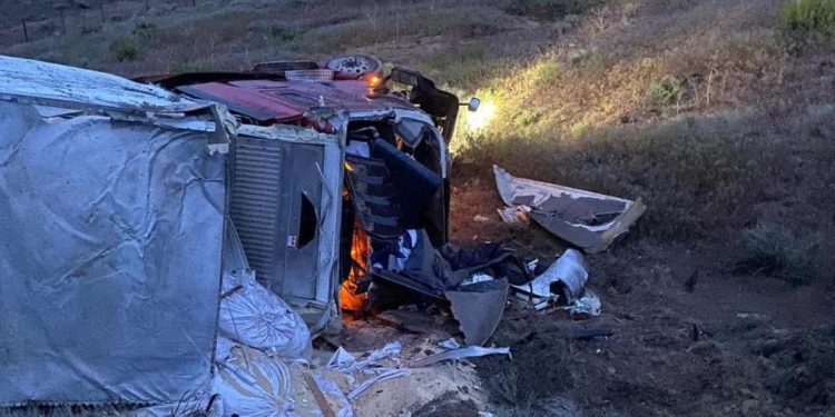 “Sludge” from the Mormon cricket invasion caused many crashes in Nevada