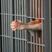 Houston Man Sentenced to Prison for Depositing Another Person’s COVID-19 Stimulus Check