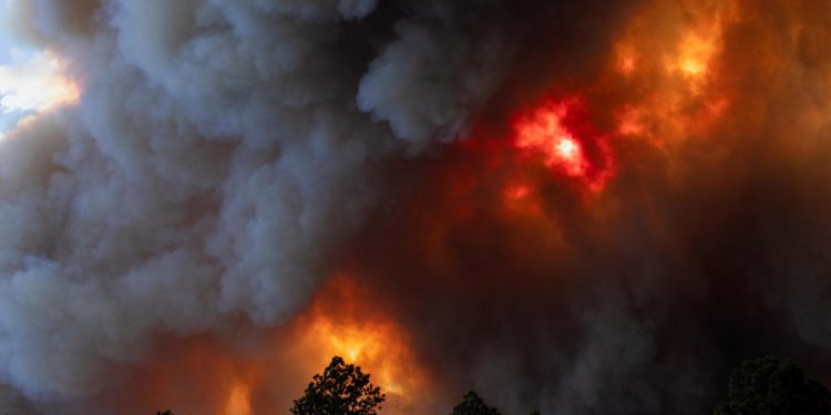 Ruidoso ” Village in New Mexico” Under Evacuation Orders as Wildfire Rages: “Leave Now!”