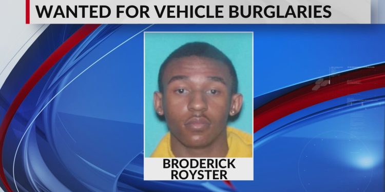 Teen Gang Leader Wanted in Tennessee Car Burglary Spree; Six Accomplices in Custody