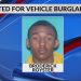Teen Gang Leader Wanted in Tennessee Car Burglary Spree; Six Accomplices in Custody