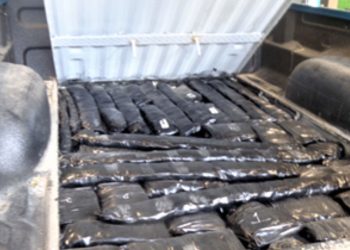 California/mexico Border Seizes 100 Pounds Of Meth From A Trusted Traveler