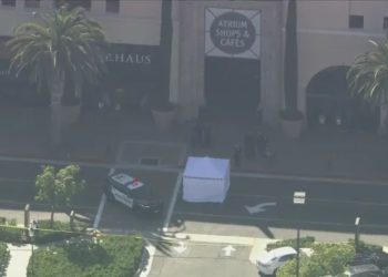 Woman Killed When Hit By Suspect’s Car After Robbery Attempted At Fashion Island In Newport Beach