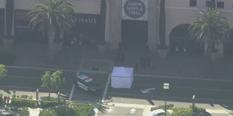 Woman Killed When Hit By Suspect’s Car After Robbery Attempted At Fashion Island In Newport Beach